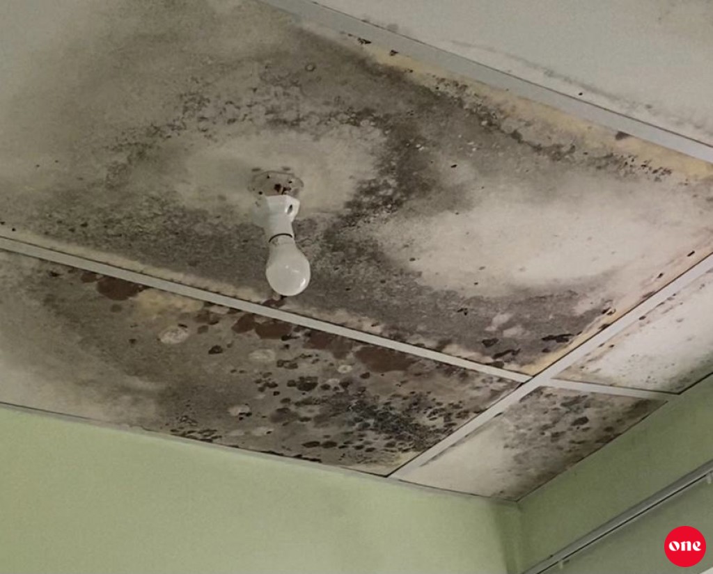 Maafaru sihhee marukazuge haalathu dhahvve ceiling bolah vehttidhaanethee bali meehun belun ofeehah