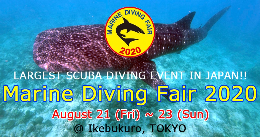 Maldives wins a Dream Dive Destination Award at Marine Diving Fair