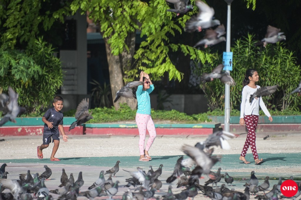 Vaccination of children to begin this month in Maldives with Pfizer