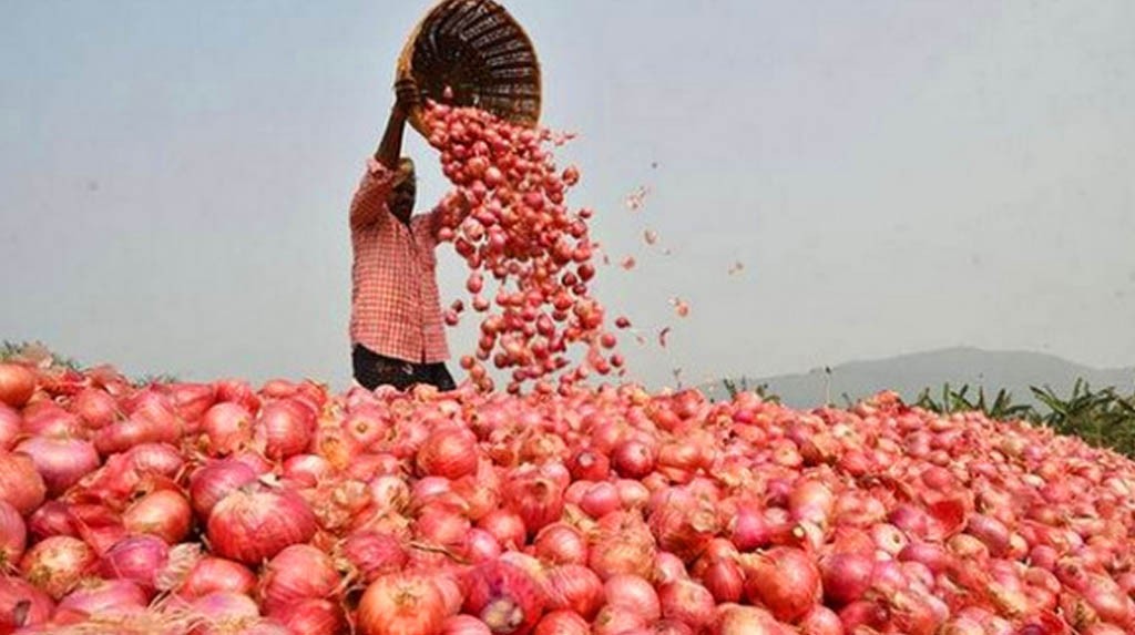 India in export kuraa fiyaage duty 40 percent bodukohffi