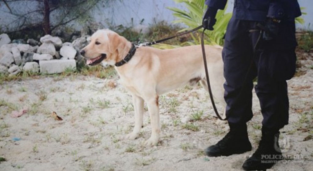 Dhe rashehggai hingi operation thakehgai drug aaeku 3 meehaku hayyaru koffi