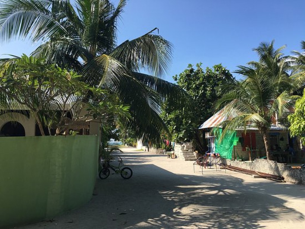 Firihen kujjakah jinsee goanaakuri kamuge thuhumathugai fehendhoo Council ge naib Raees hayyarukohffi