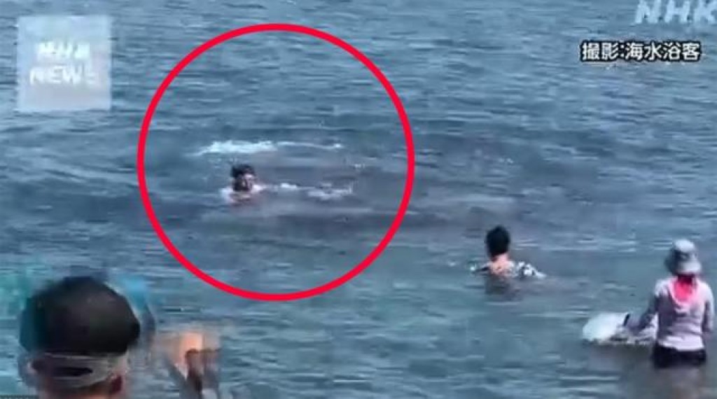 Japan gai koamaheh hamalaadhee 4 meehun zaham kohllaifi