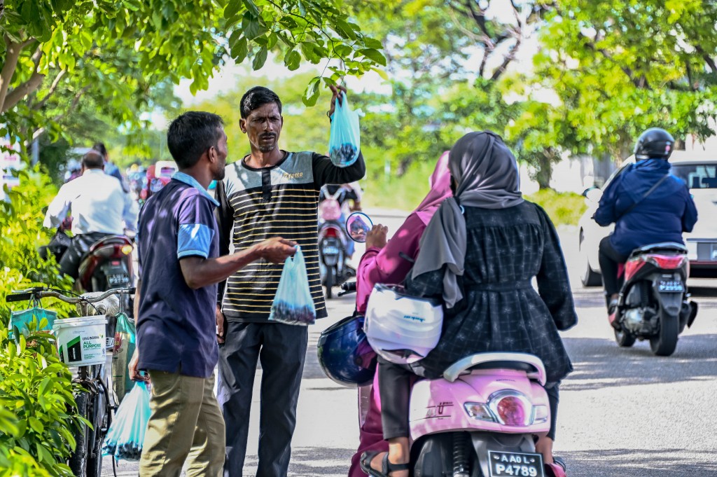 Census: Zuvaanunge category gai dhivehi firihenunnahvure bidheysee firihenun gina!