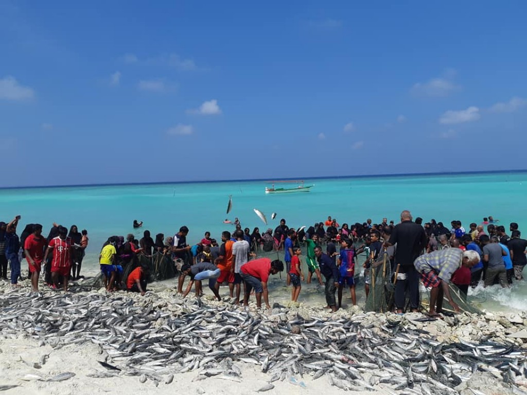 Nolhivaranfaru Dhonfalhu Rimmahun kalhuvefai, rayyithun mas hifumuge foareegai