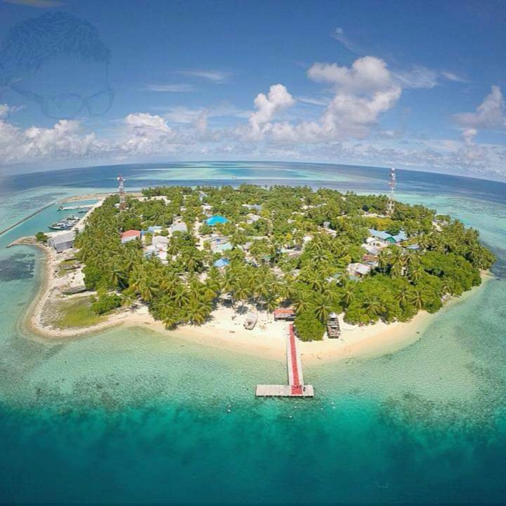 Feeali gai roagaa eh fethuremun dhiumun negi sample thakeh Covid ah positive vejje