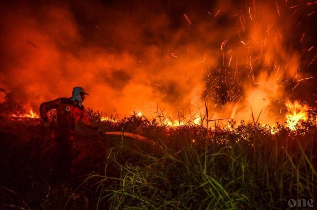 Indonesia arrests nearly 200 over raging forest fires