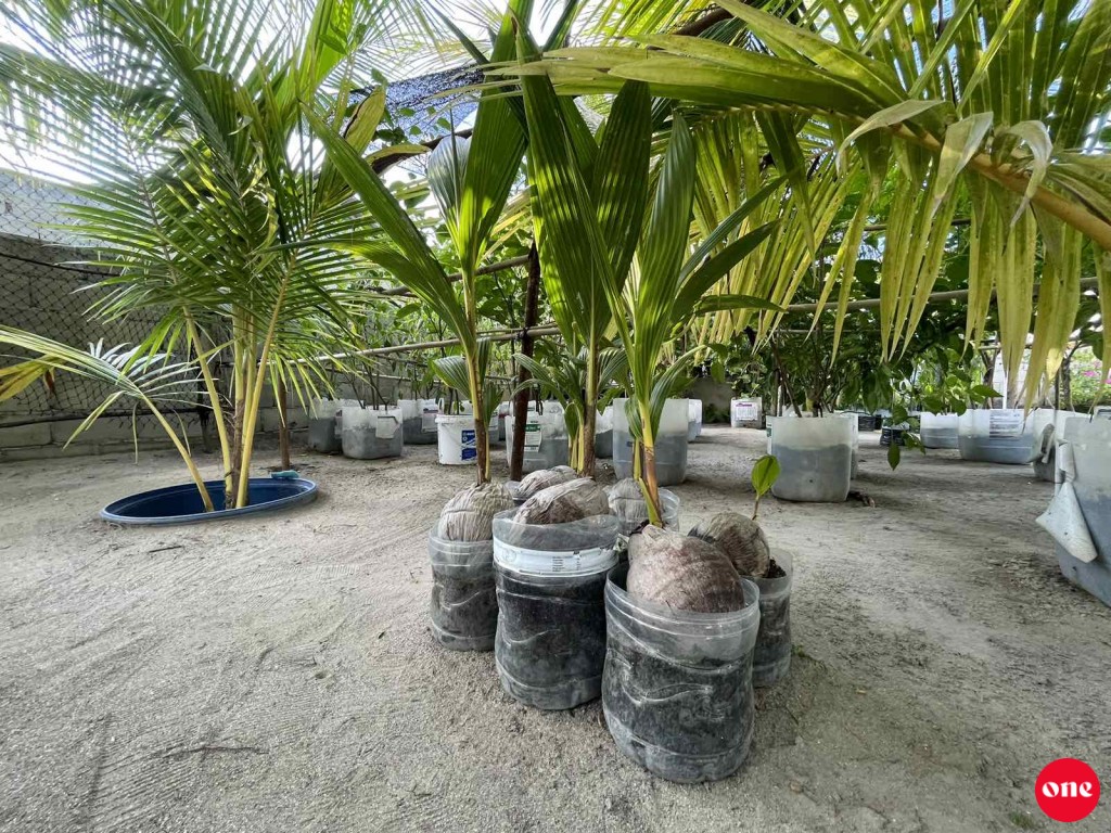 Hulhumale' gai Run indhumuge bodu harakaatheh kuriyah gendhanee