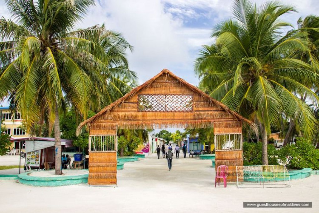 146 samples from Himmafushi return as negative