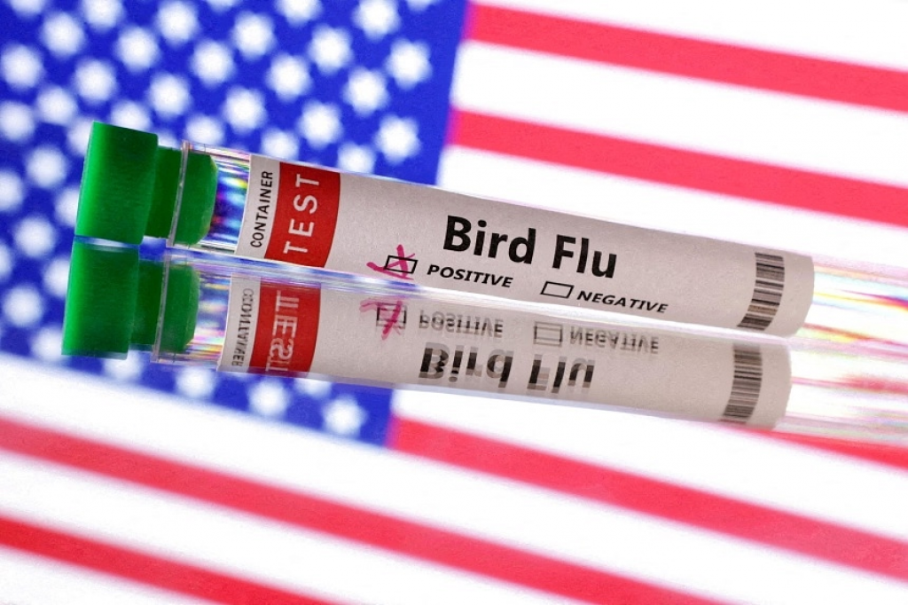 US reports first bird flu case in a child