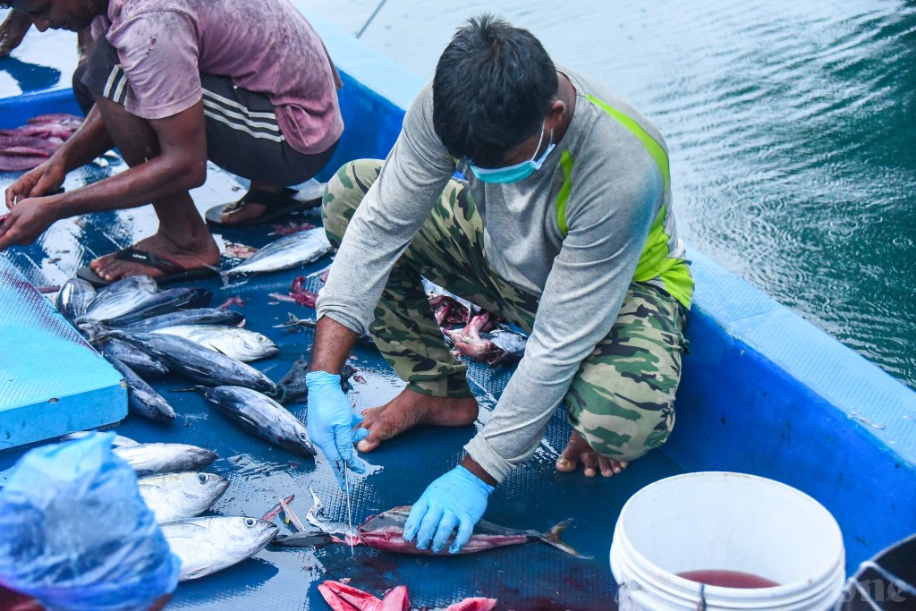 Dhivehi kandumahuge baavaiythah Lanka ah ethere kurumugai huraheh neiy: Sarukaaru