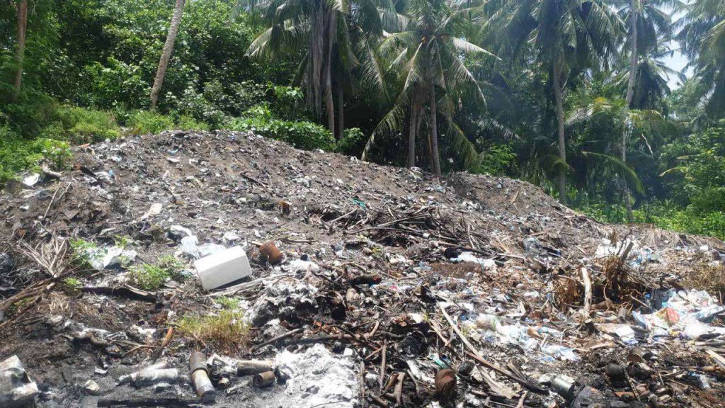 Thinadhooge zamaanvee kuni gondun 1350 tonn ge kuni nagai saafukoffi