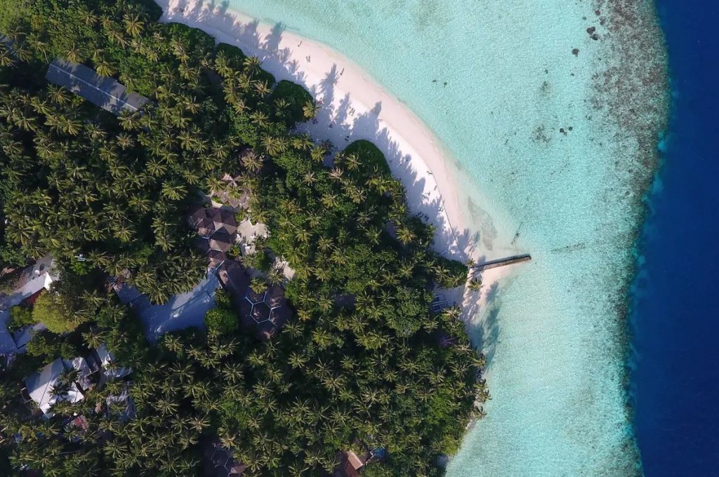 Biyaadhoo aai Sangelin positive vee meehunge adhahdhu 100 in mahchah