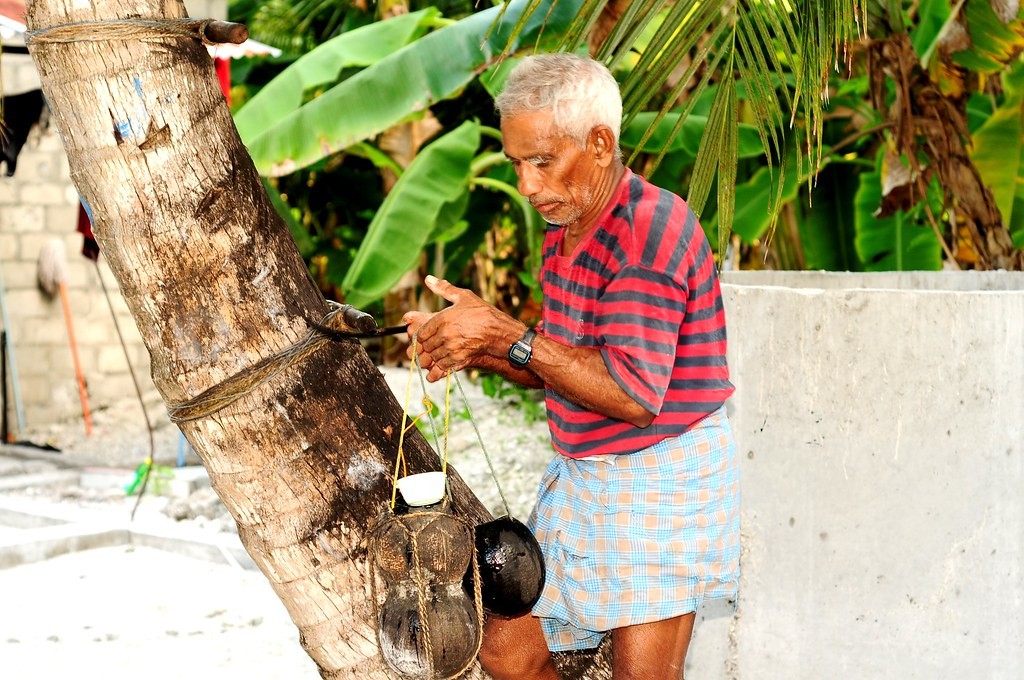 Dhivehi Karuhakuru: Rohttaa jahaigen kaan adhives ehvvana