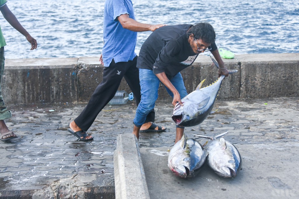 Masverinnah faisaa jamaakuran fashaifi, maadhamaa ge niyalah faisaa jamaakoh ninmaaleveyne: Shiyam