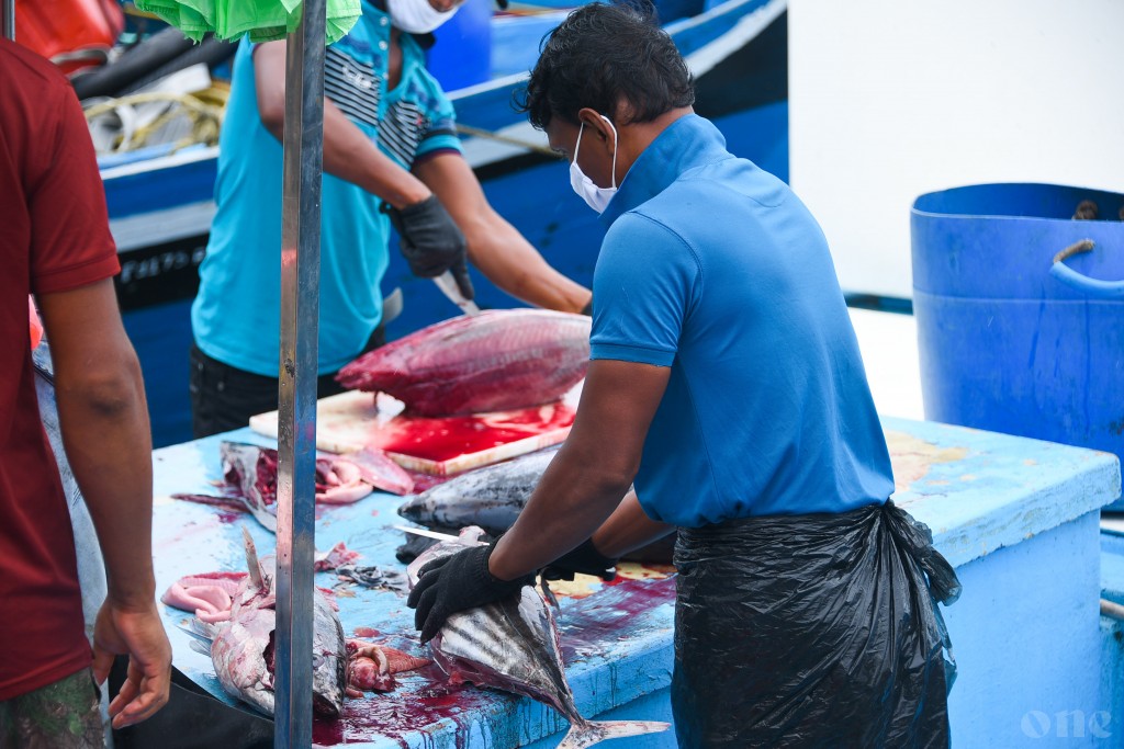 President spotlights on fisheries and agriculture industries as prospects for further development
