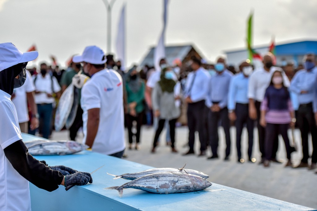 Masveringe dhuvahuge rasmee haflaathakah  proposal ah  hulhuvaalaifi 