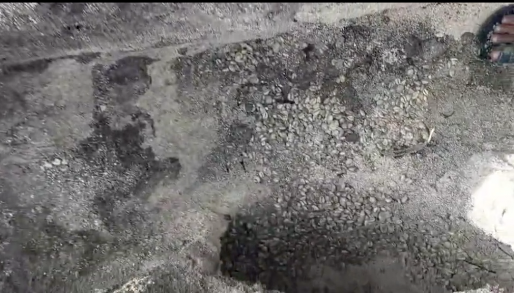 Rinbudhoo in maasingaa bolivalheh fenihjje