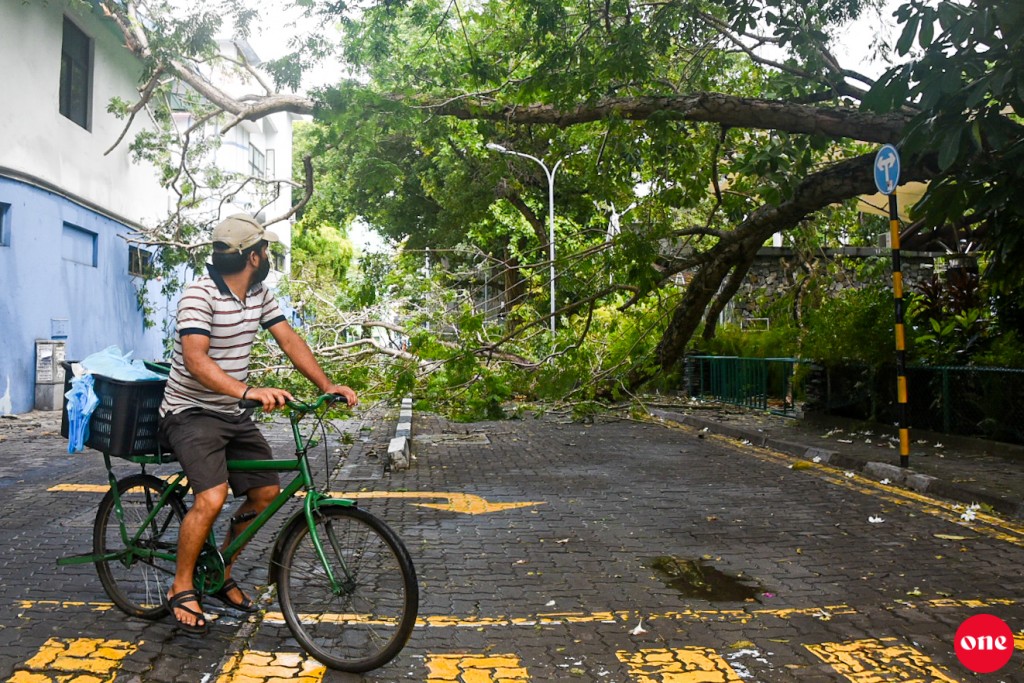 #OnePhoto: Sultan park gai huri gahakun baeh vetti, lily magu bandhuvun