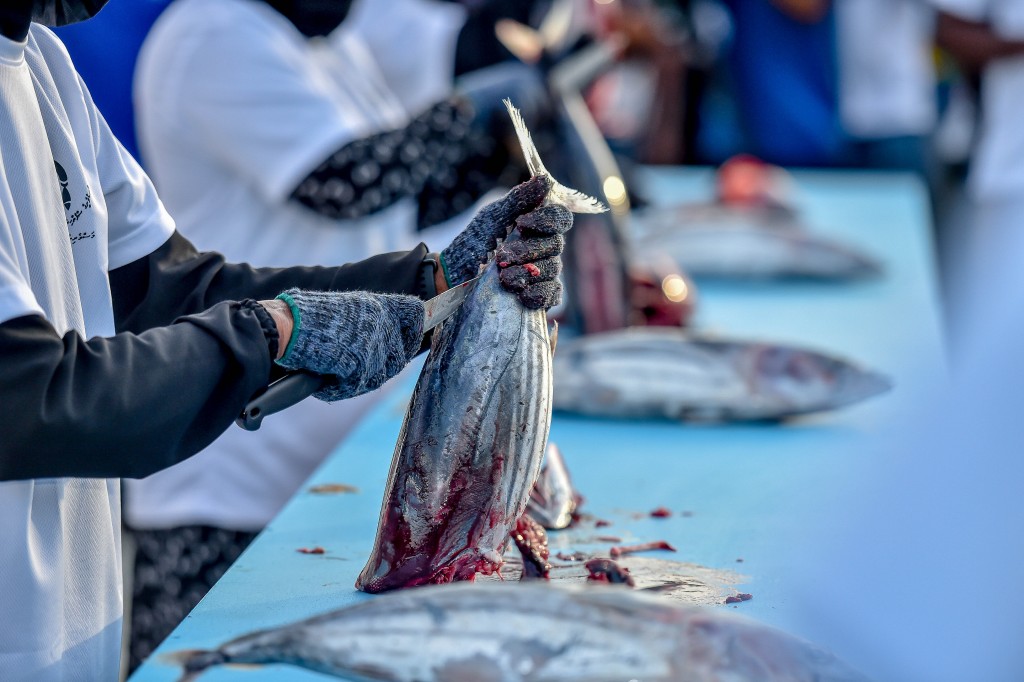 Photo: Masveringe dhuvahuge harakaaithah Raees Solih bahllavaulehvvun