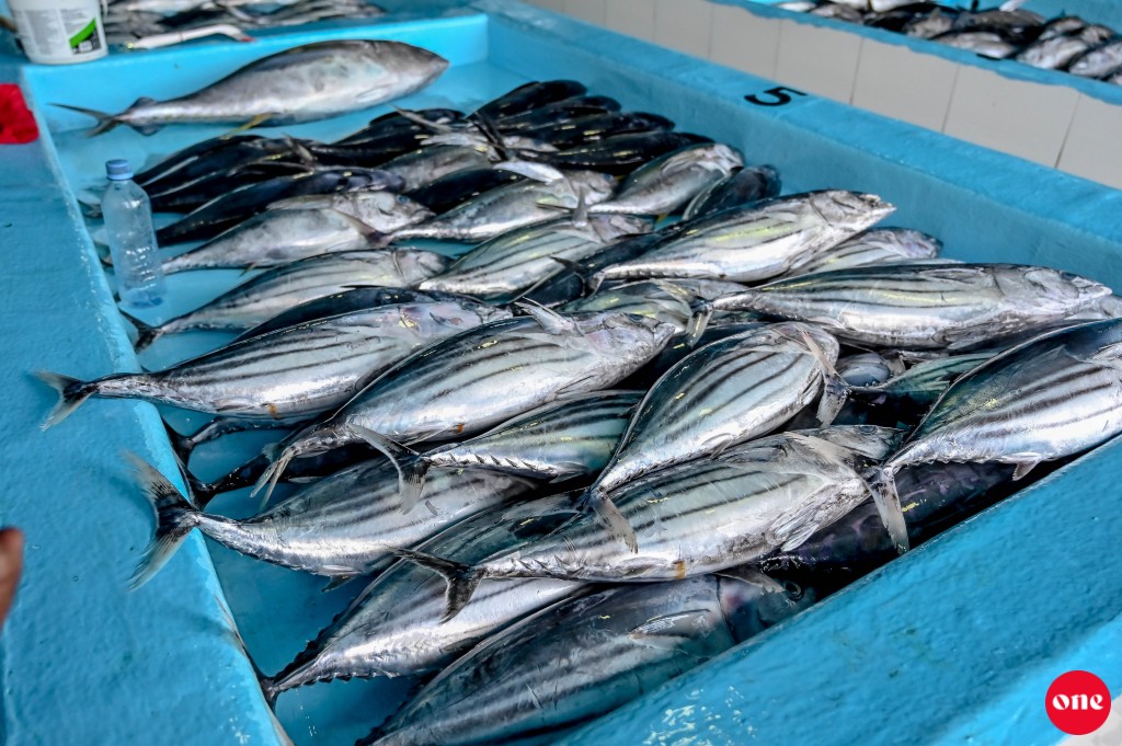 Mas ganna agu 20 rufiyaa ah dhahkuran economic council in ninmaifi