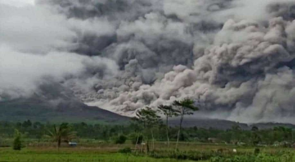 Indonesia ge alifaan farubadha eh govai, 13 meehaku maruvejje