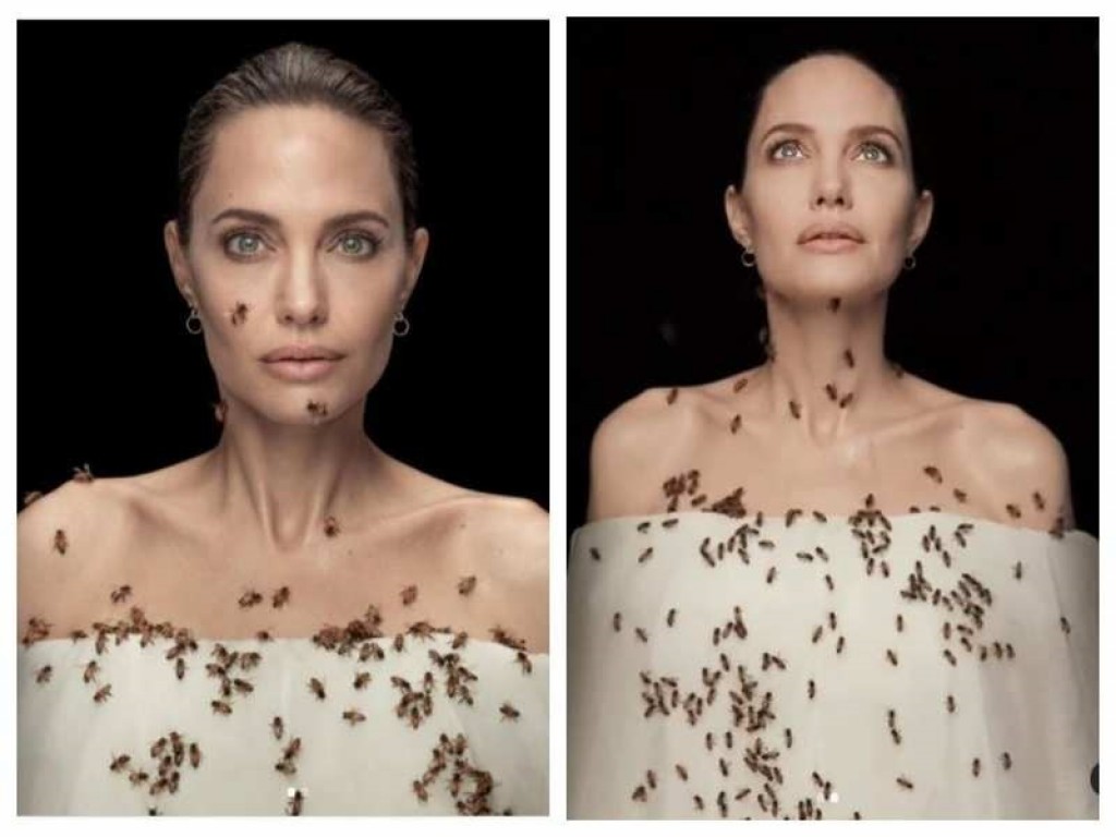 3 dhuvas vandhen fen nuvaraahure Angelina Jolie kurikamakee gayah kulhandhuru eruvun