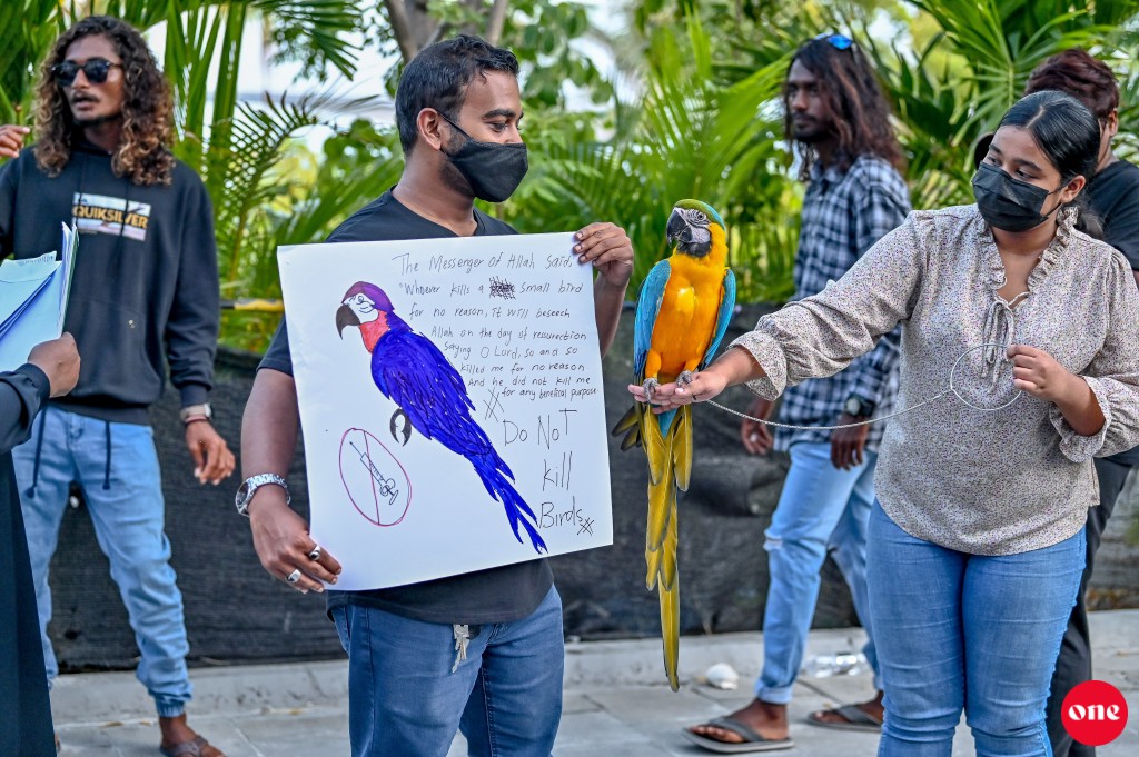 Dhooni thah maraalumugai gaanoonaai hilaafu vefaivaa faraaiythakah fiyavalhu alhaanan: Ministry