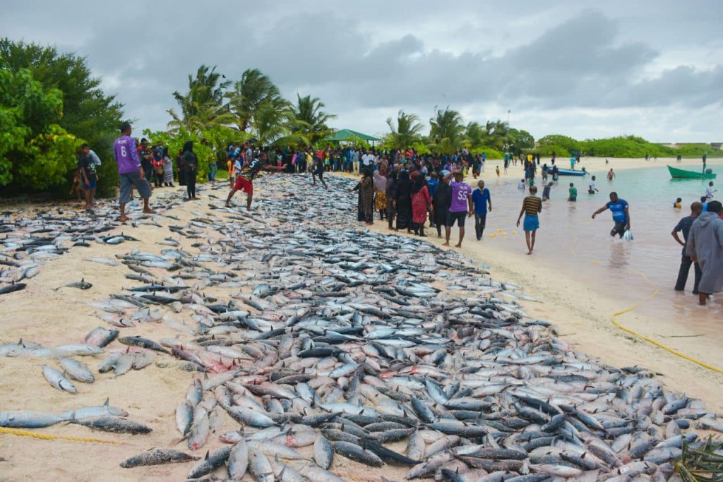 Falhuthereyah raagon'di aineh vadhe, Dhidhdhoo rayyithunnah raagon'deege Eid eh!