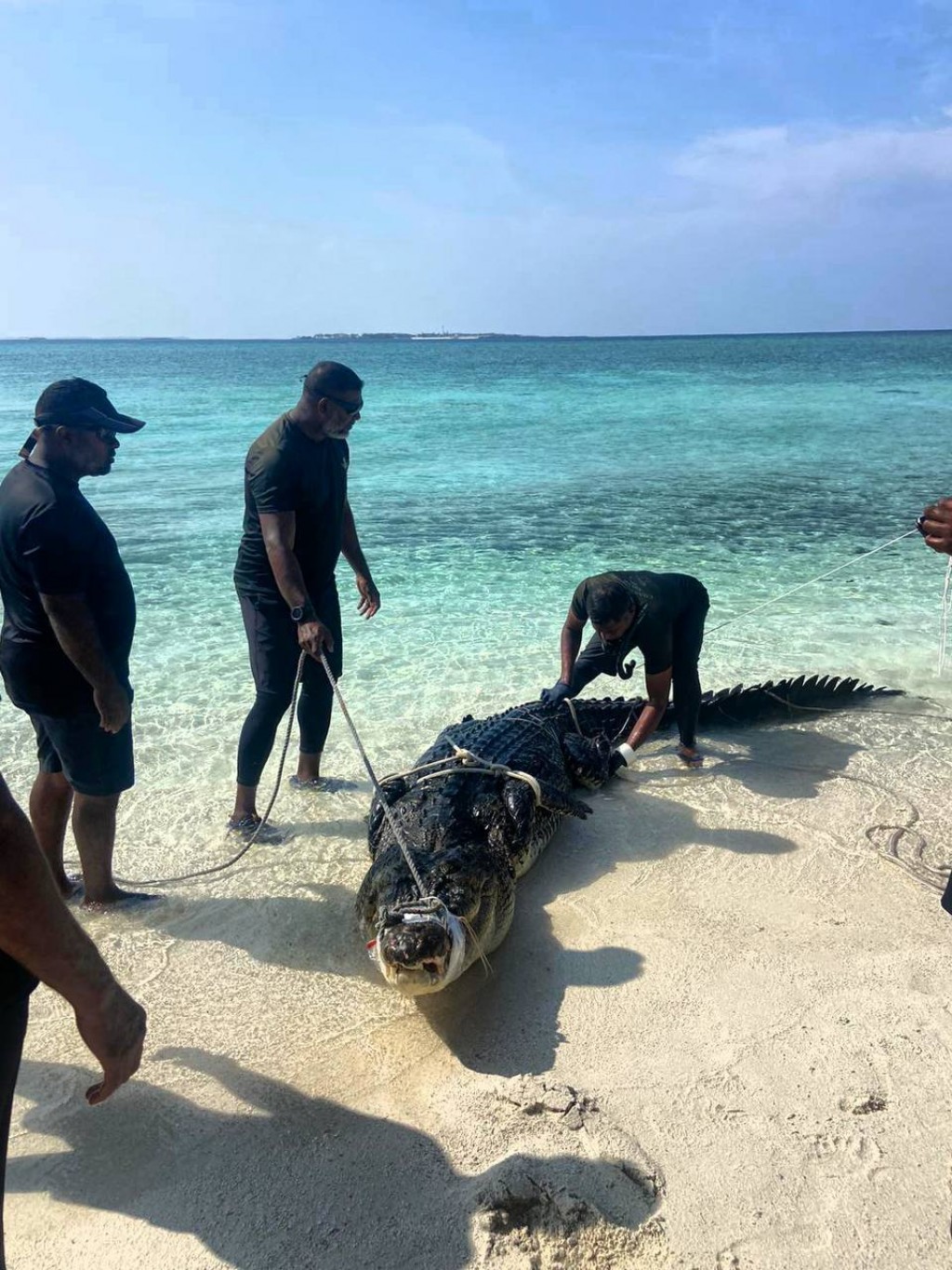 Bolidhuffaru in fenunu kinboo hifai kandah dhookollaifi