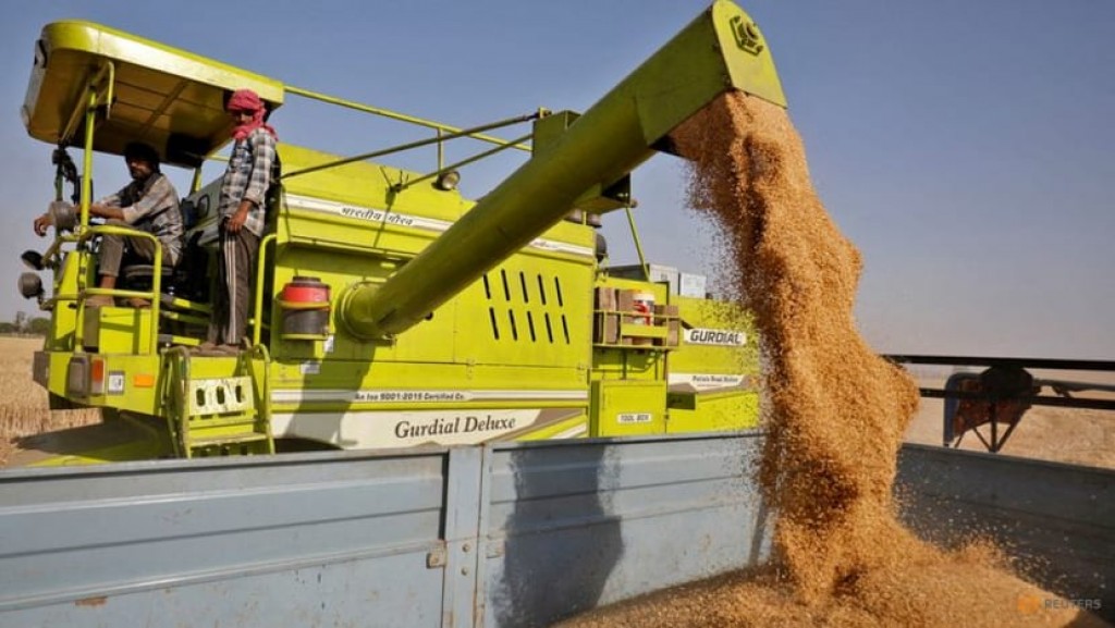 India bans wheat exports as heat wave hurts crop, domestic prices soar