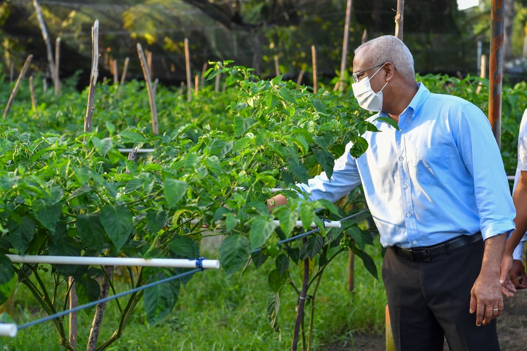 Sarukaarah 3 aharu: Pesticides controll kurumuge gaanoonu ufanvumaai duty kandailun, dhanduverikamah heyo badhaleh
