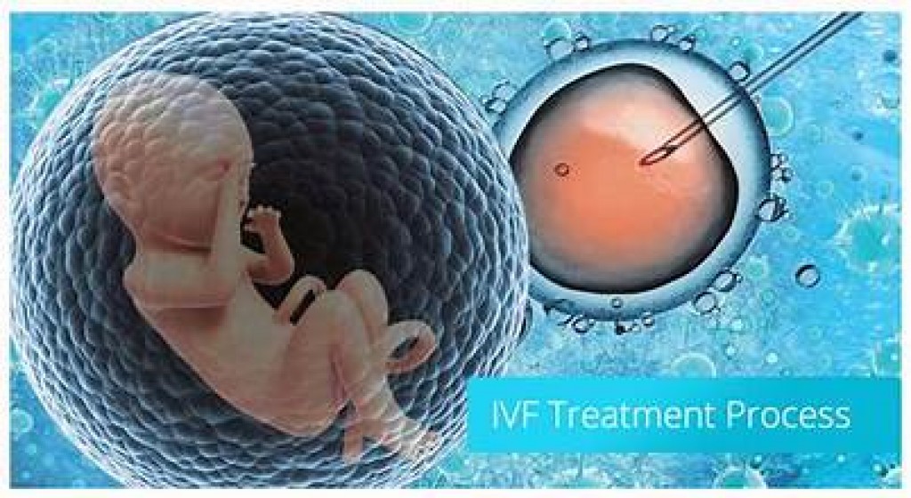 IVF faruvaa beynunvaa meehun ehaa ah hushahelhumah hulhuvaalaifi