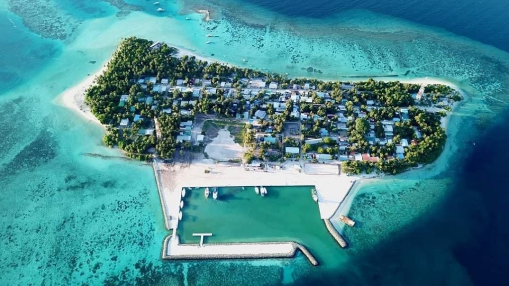 Himandhoo gon'dudhoh himaayaiy kurumuge mashroou MTCC aa havaalu kohfi