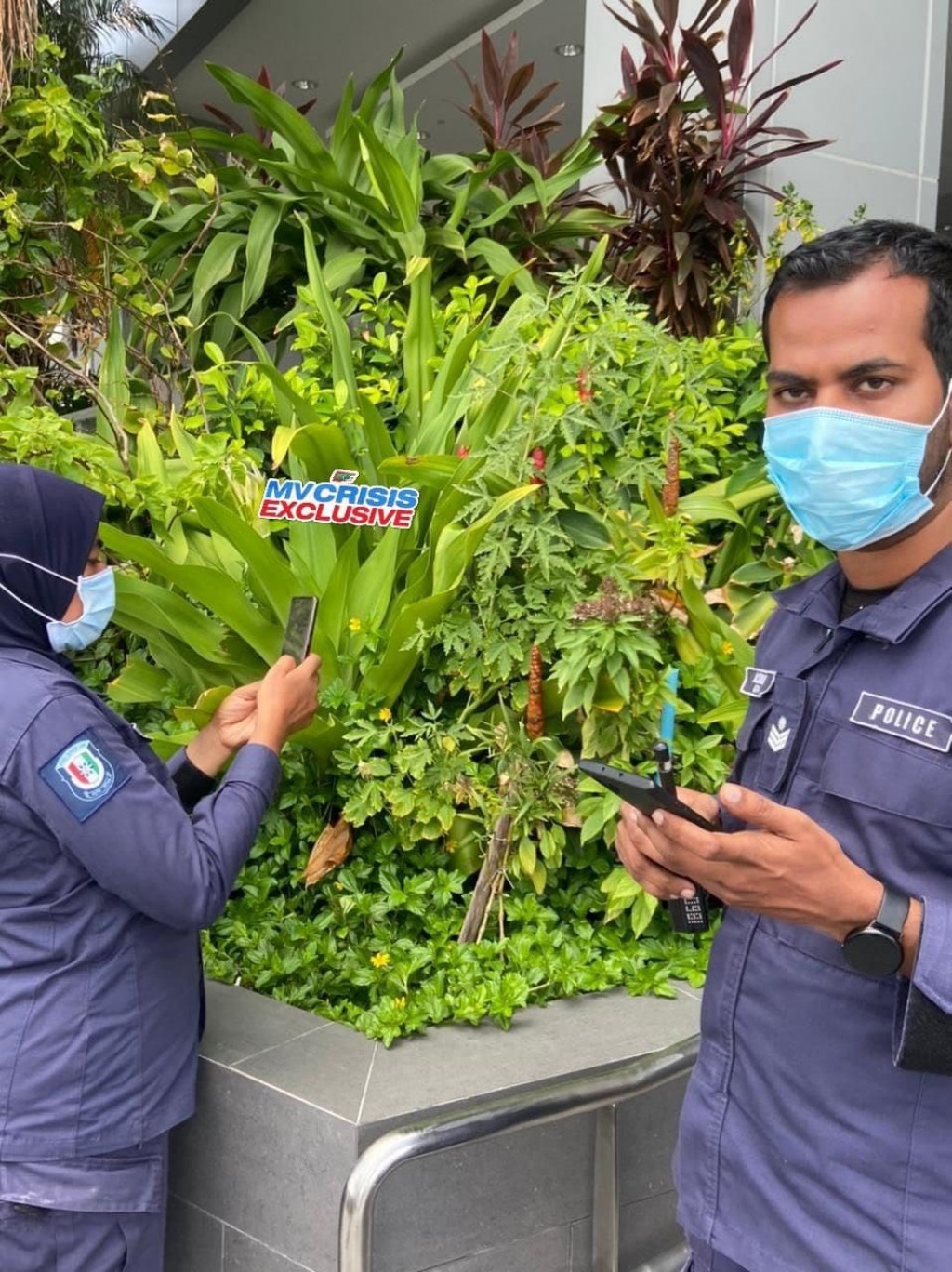 Cannabis gas thakakaai gina adhadhegge drug gengulhunu meehaku 100 aharah jail ah