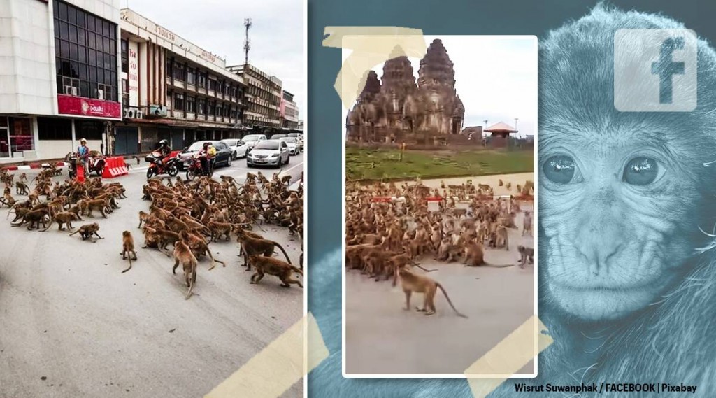 Thailand gai ethah satheyka raamaa makunu magumahcchah nukume 
