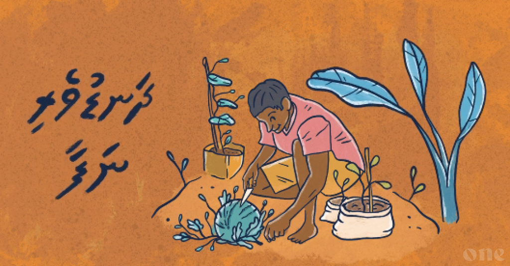 Dhanduveri Nafa: Government introduces special loan for farmers