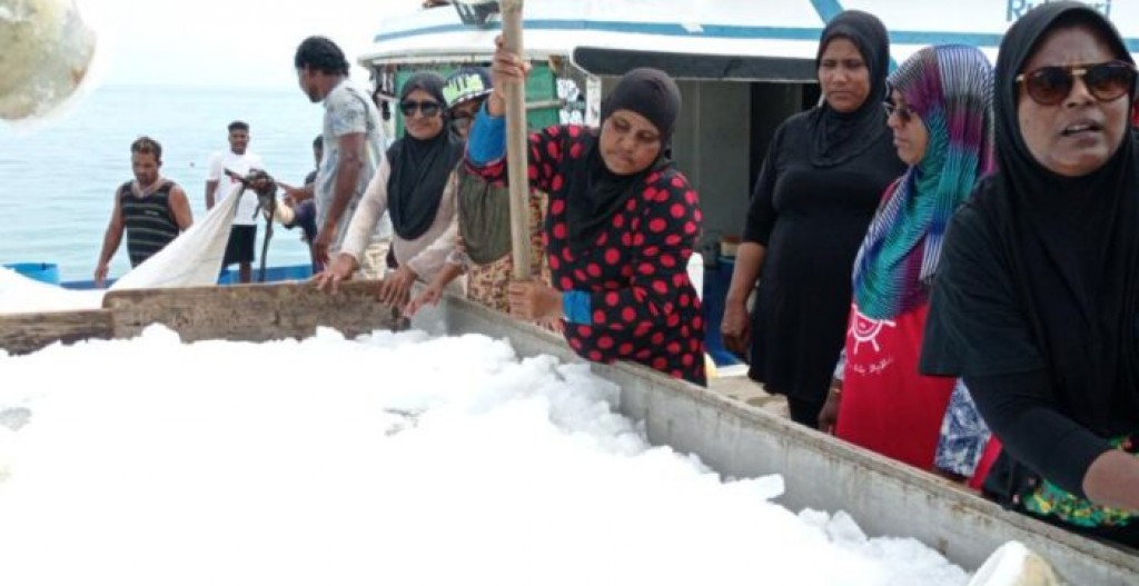 Masfinikuraa nizaam gaaim kuran genna  systemthakun duty maafukurumah hushahelhumah hulhuvaalaifi