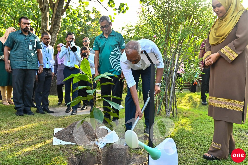 One Photo: 5 million gas indhumuge mashroou feshun