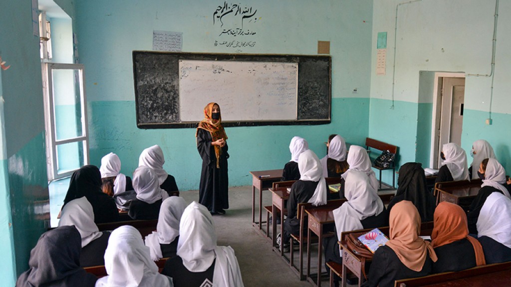 Afghanistan gai 80 dharivaraku vihave faruvaa dheyn fashaifi