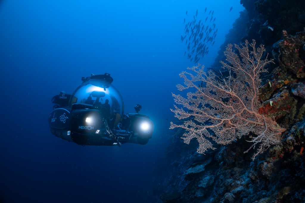 Kan'duge 500 meter adin dhirunthakun furigenvaa sarahahdheh Nekton in hoadhaifi