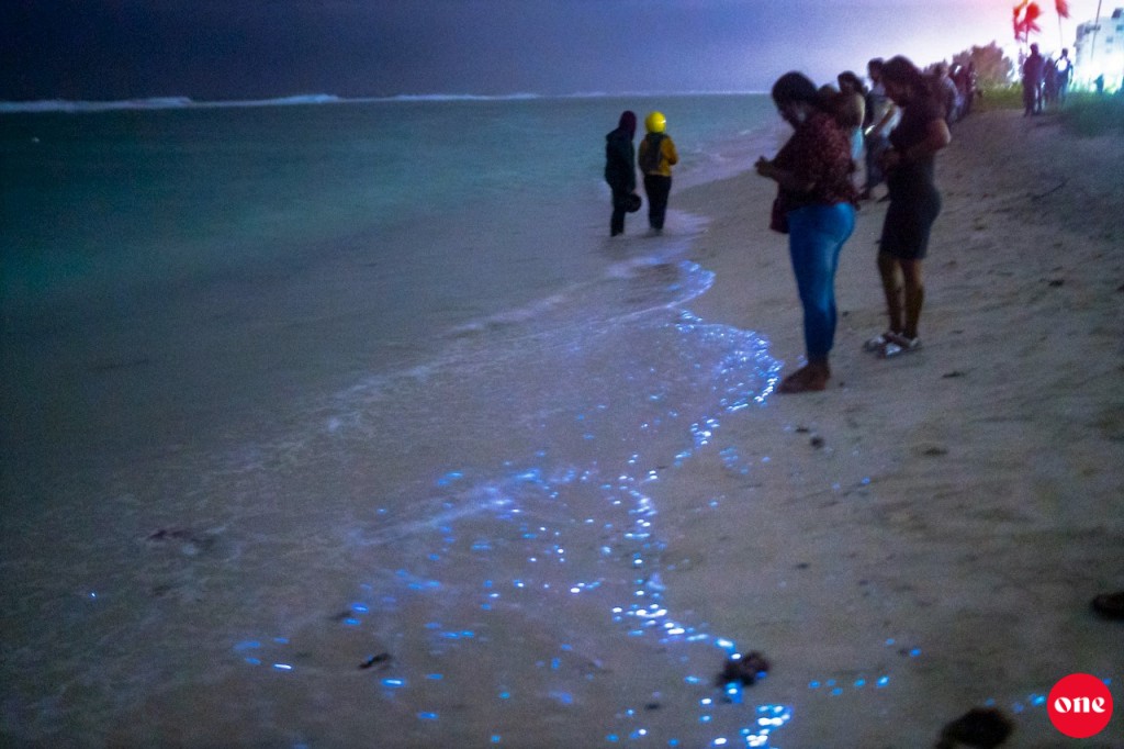 #OnePhoto : Hulhumale' gondudhoh redhanun dhihlaalun
