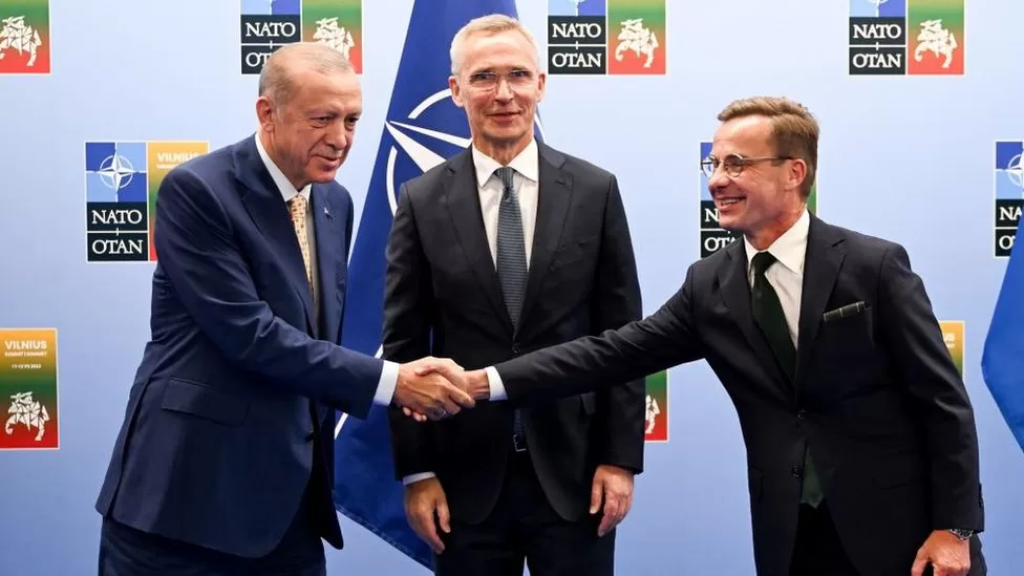 Turkey backs Sweden's Nato membership