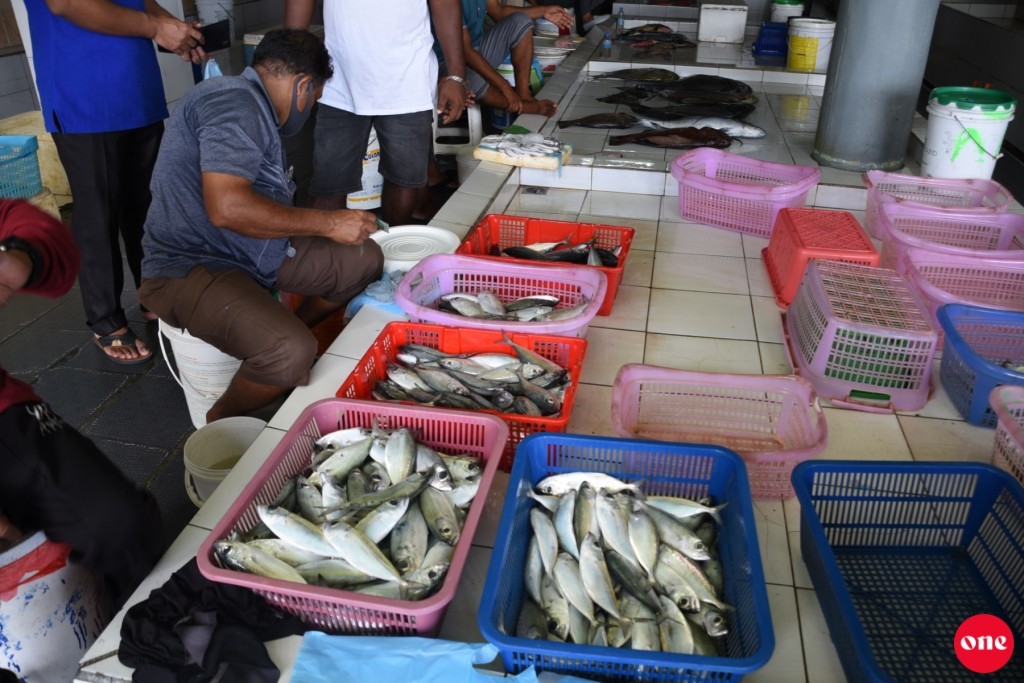 Raw fish becomes scarce, raising prices