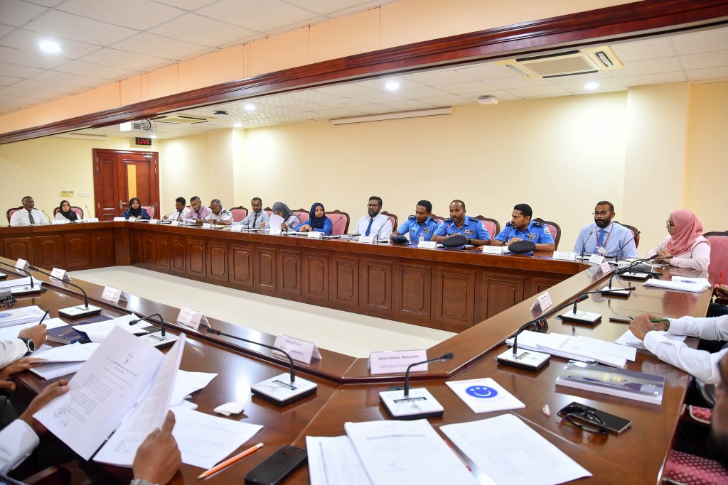 Drug aa dhekolhah masahkaiykuraa muassasaathah haazirukuri committee bahdhaluvun sirru