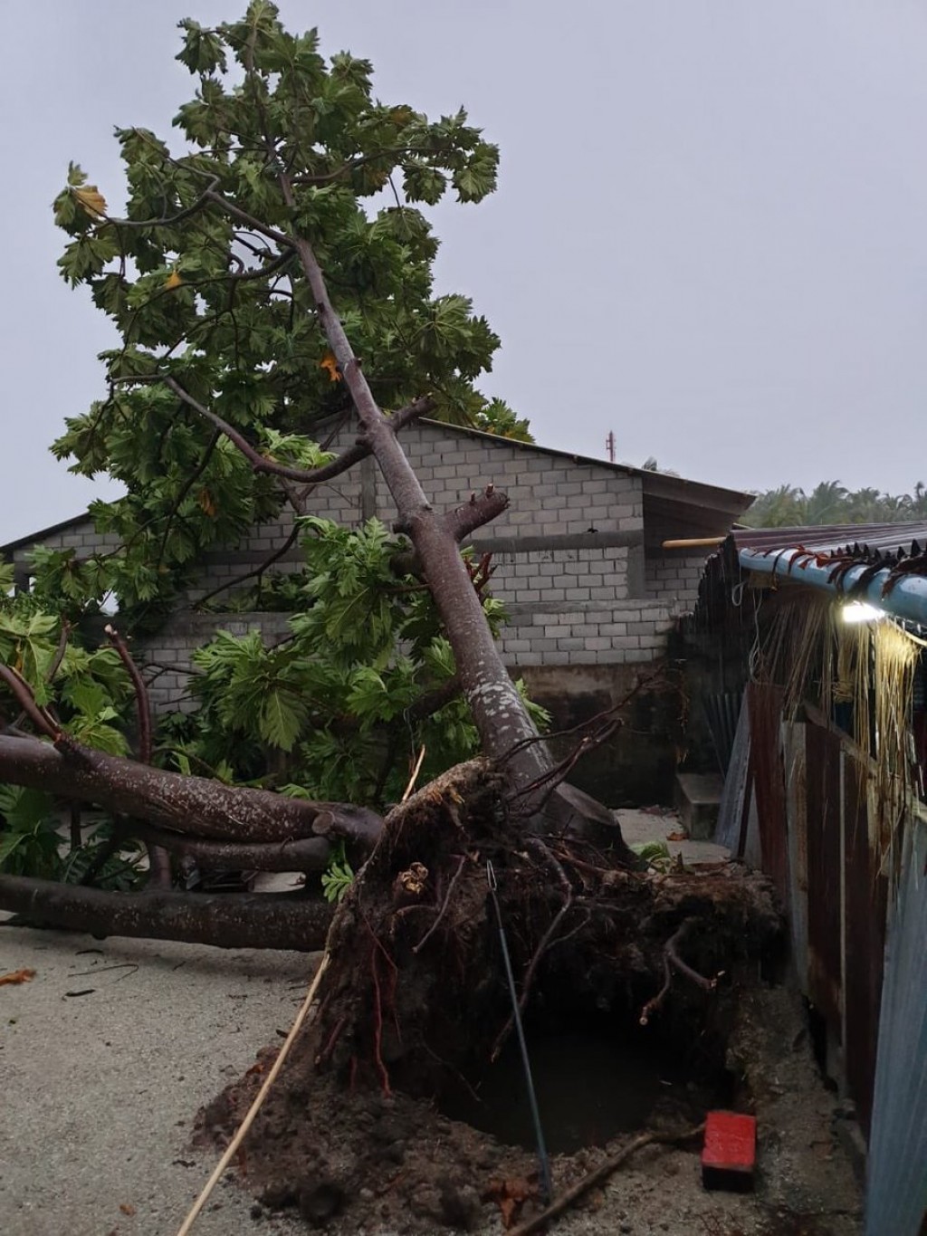 12 households severely affected by tornado in L. Fonadhoo: Disaster