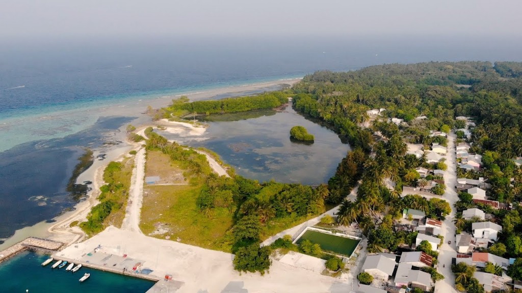 Goidhoo gai cancer ginavaa massala belumah dhandu thakuge dhiraasaa kuranee