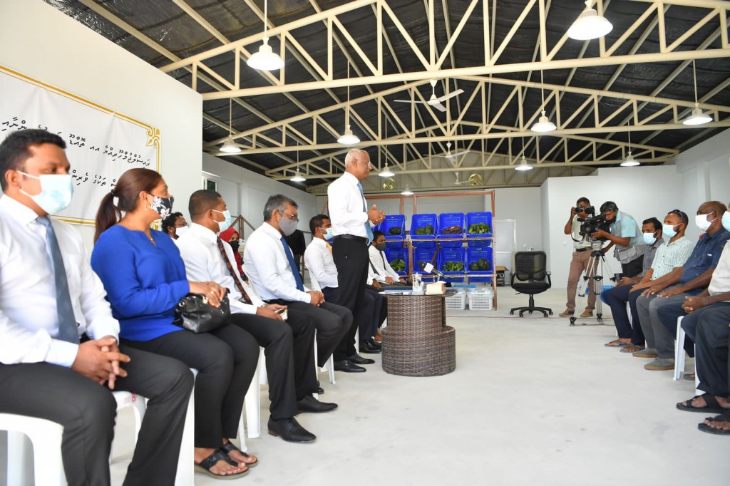 Guesthouse viyafaari fulhaakurumakee sarukaaruge enme iss eh amaazu: Raees