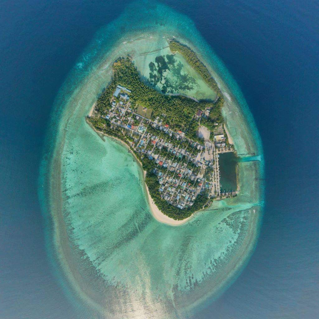 6 meehaku positive ve, Maroshi monitoring ah
