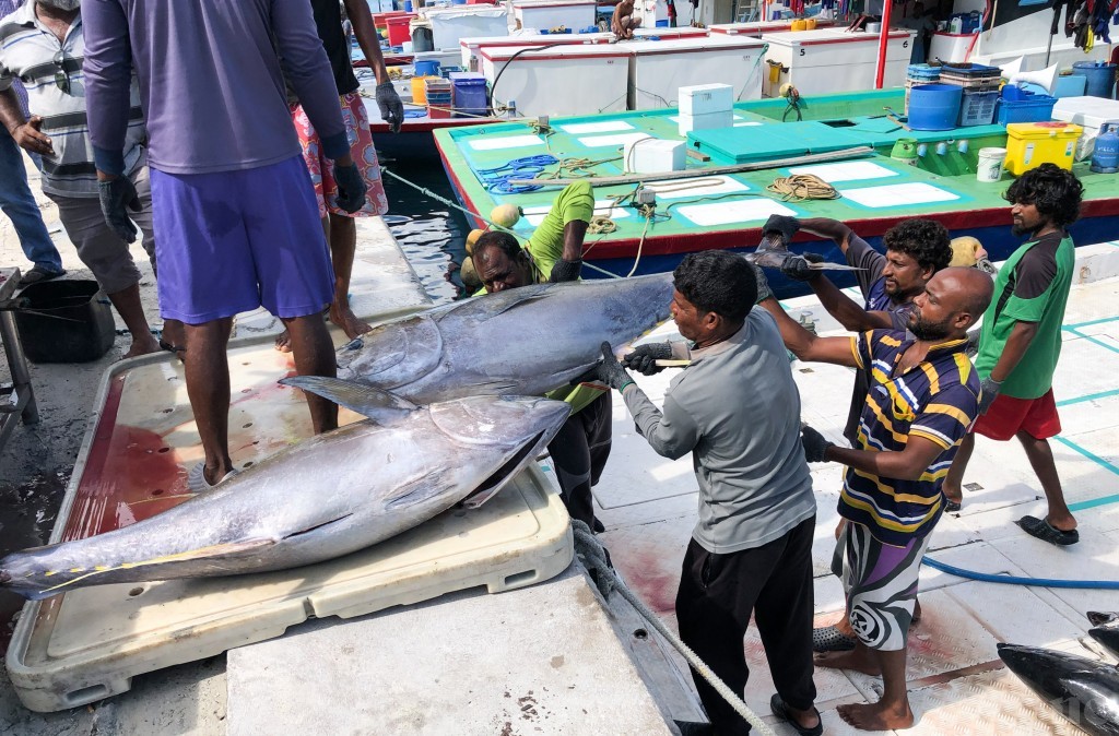 Fishermen’s Union calls for income support for deep sea tuna fishermen